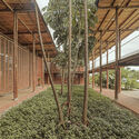 MCHAP selects Community Production Center Natura Futura + Juan Carlos Bamba as New Practice Winner 2024 - Image 3 of 12