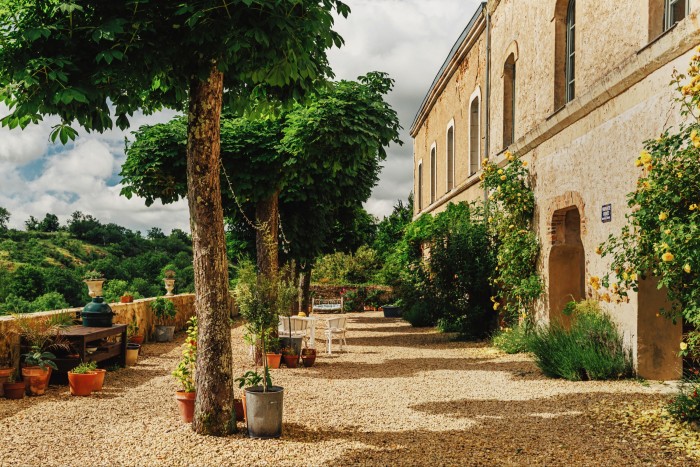 Climbing roses and wisteria on the terrace